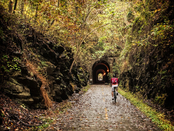 a cyclist on a trail