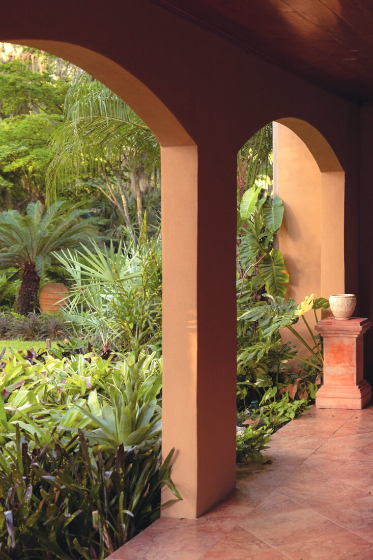 A terracotta-colored patio with tropical plants
