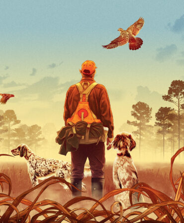 An illustration of a hunter in a quail field with two spotted dogs