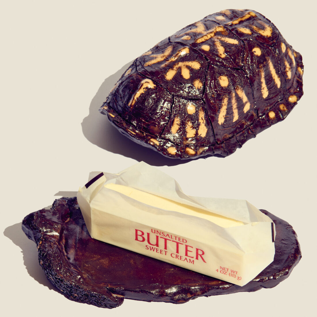 A box turtle butter dish