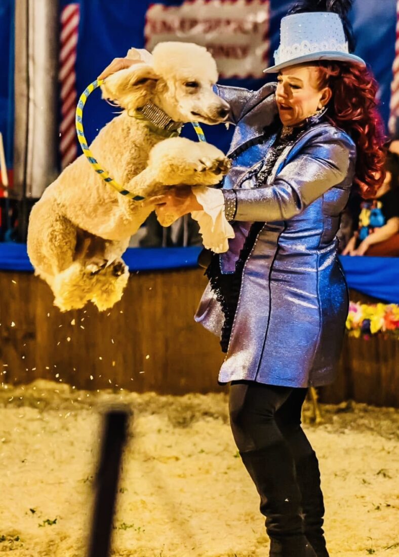 a dog jumping through a hoop