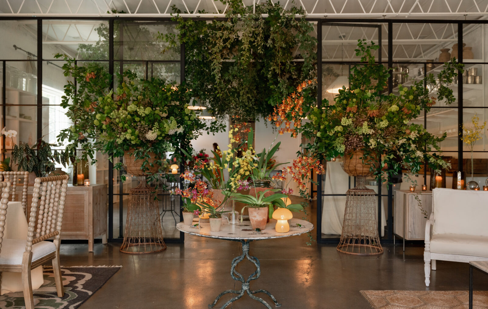 Potted orchids in a floral studio