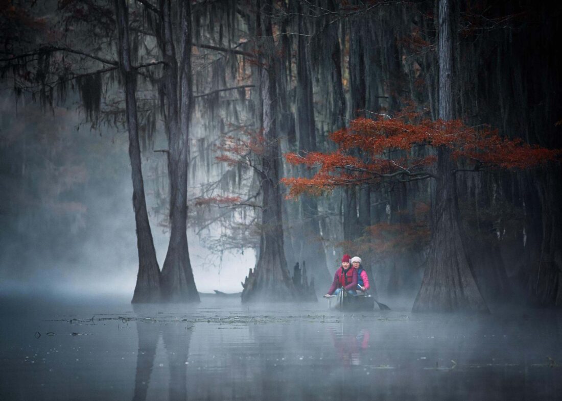 People paddle through a cypress swamp